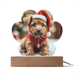 Create a Keepsake Printed Paw Plaque of your Favorite Pet.