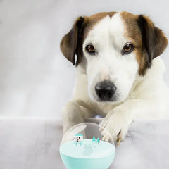 DIY Memorial Pet Paw Print Supplies Gift Set